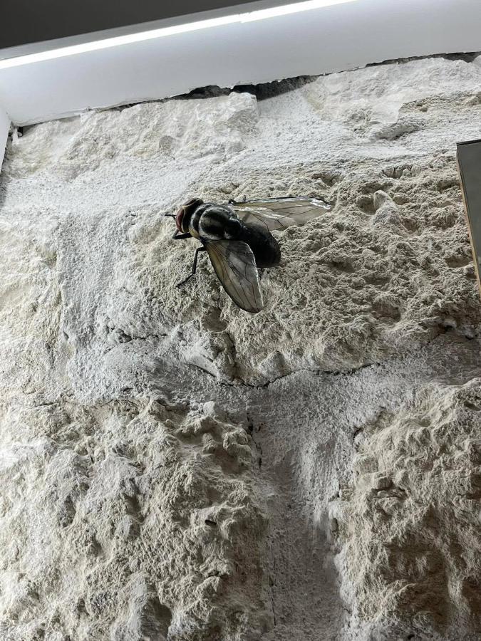 I Bastioni Apartment Palermo Zewnętrze zdjęcie